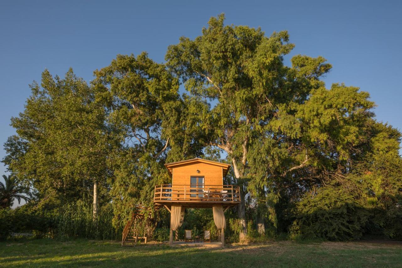 River Treehouse Laganas Exterior foto