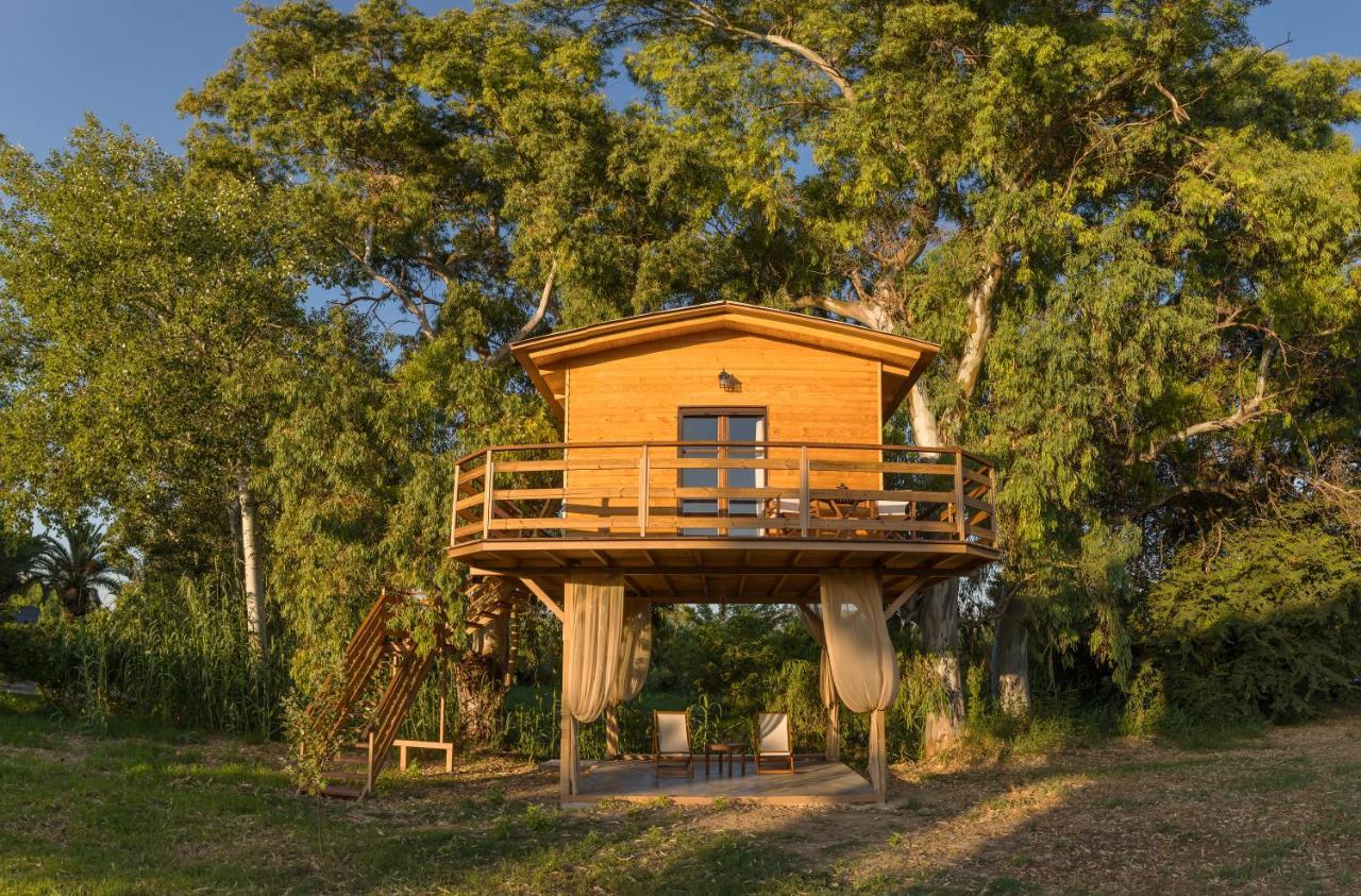 River Treehouse Laganas Exterior foto